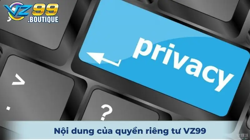 Quyền Riêng Tư VZ99 An Toàn, Trọn Vẹn Trải Nghiệm 2 Nội dung của quyền riêng tư VZ99