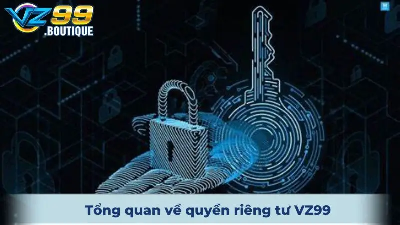 Quyền Riêng Tư VZ99 An Toàn, Trọn Vẹn Trải Nghiệm 1 Tổng quan về quyền riêng tư VZ99